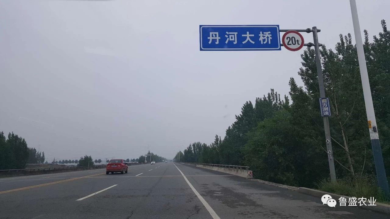 周末采摘‖我在“柿”界园里等你！(图11)