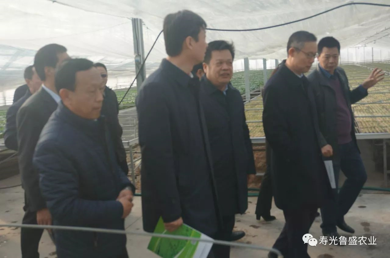 今天，寿光的四大领导班子都去了哪儿？说了些啥？(图3)