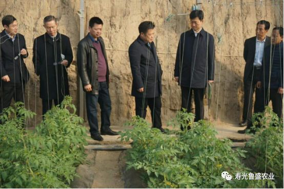 今天，寿光的四大领导班子都去了哪儿？说了些啥？(图4)