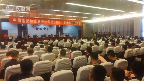 中国番茄种业联盟专业技术交流会举行(图1)