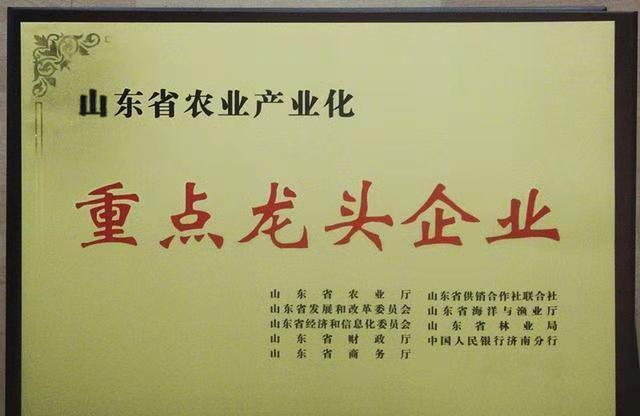 1(图1)