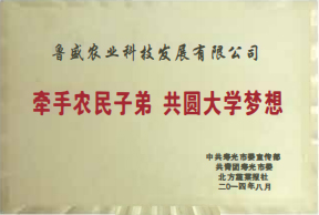 企业荣誉(图8)