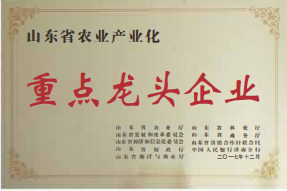 企业荣誉(图1)