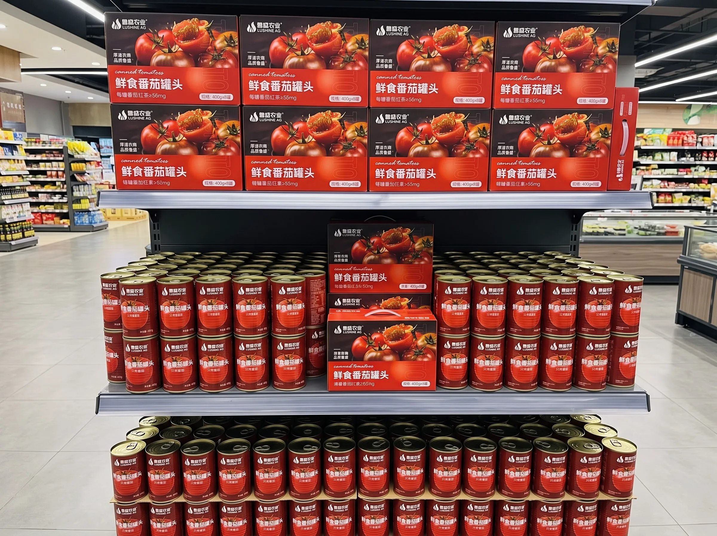 番茄罐头产品实景 1
