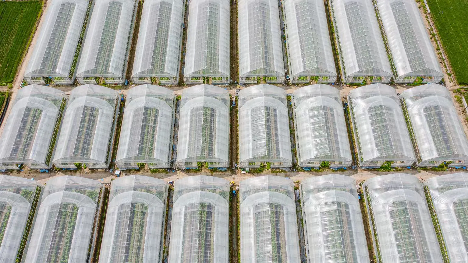 双膜双拱温室实景