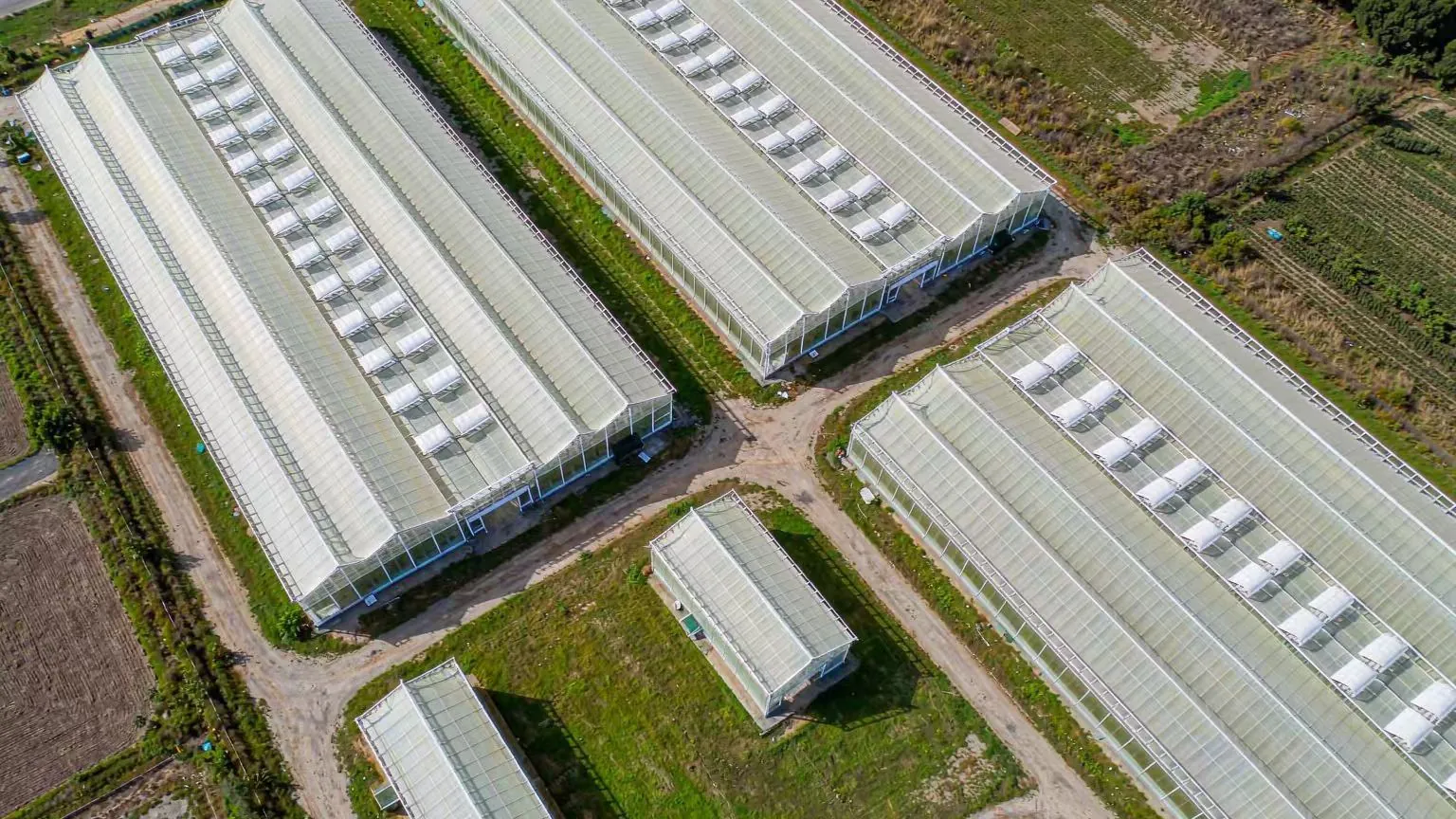 连栋温室实景