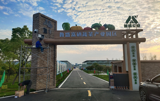 示范基地实拍