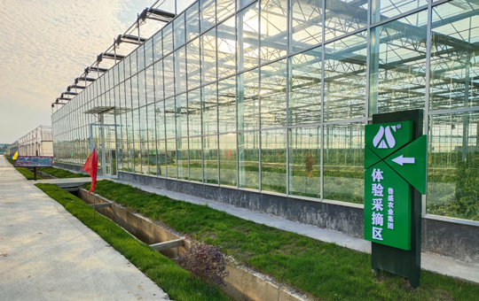 示范基地实拍
