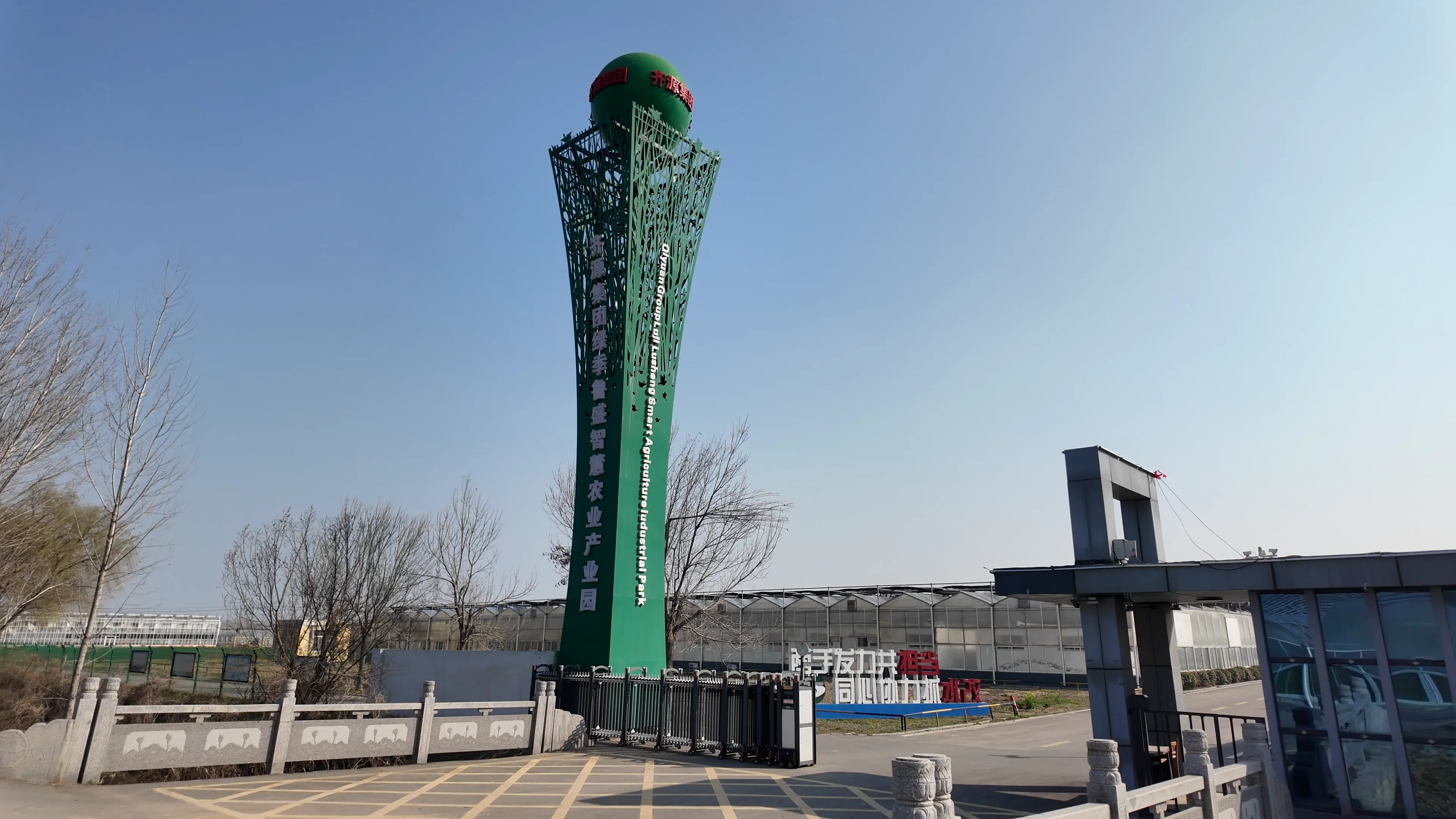 齐河园区鸟瞰