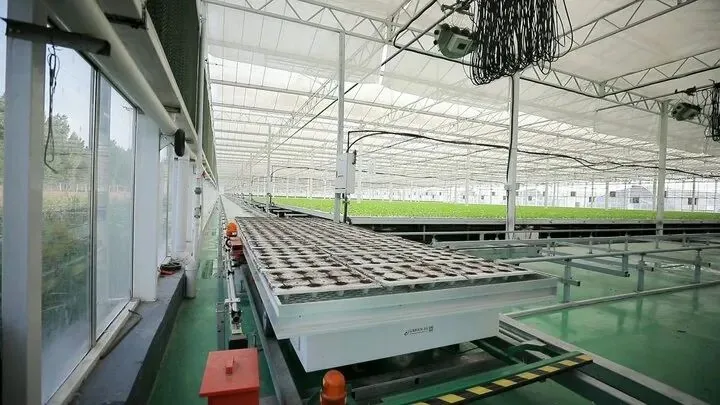 工厂化模式实景