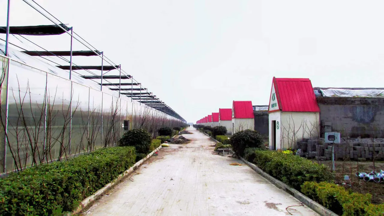 鲁盛（邳州）新河基地