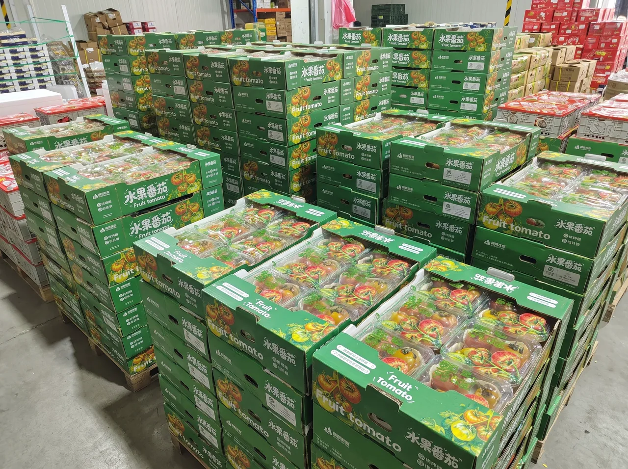 鲁盛品牌包装箱仓储与B端交付实景