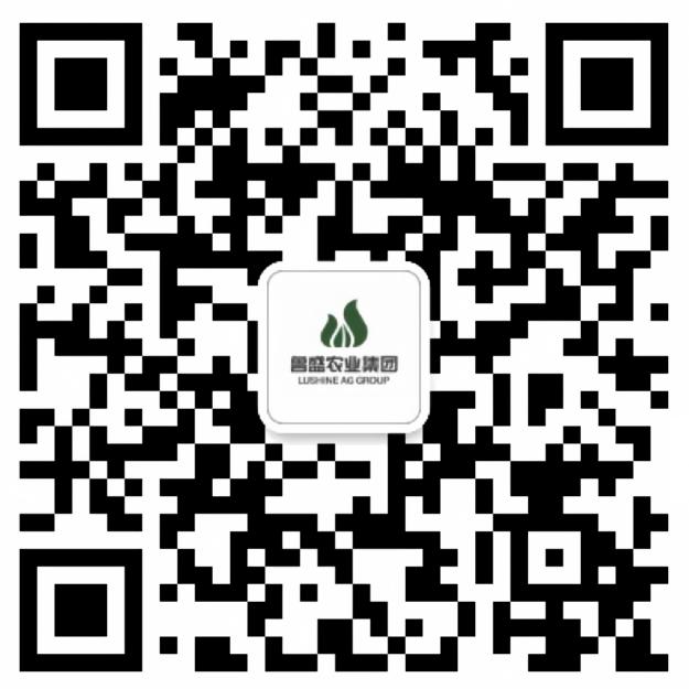 鲁盛农业微信公众号二维码